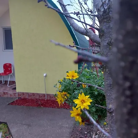 Guest house Yellow Story