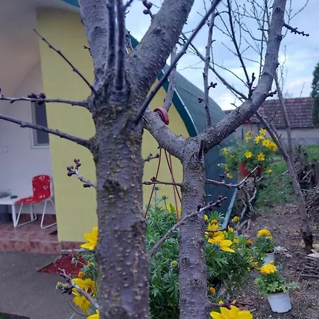 Yellow Story *